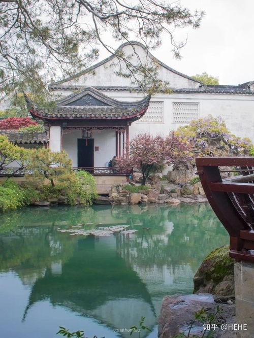 蘇州園林之冠 拙政園的匠心與藝術造詣