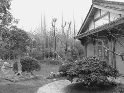 方寸苗圃，匠心筑夢(mèng) 在有限空間里打造精品園林的藝術(shù)