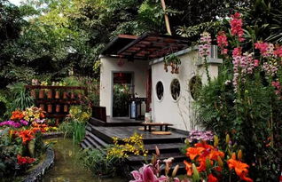 中國(guó)園林 未盡園林先有情