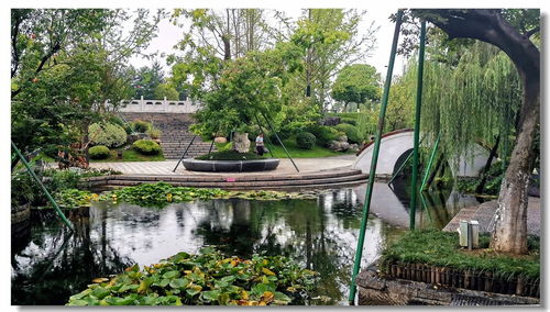 園林小景 方寸之間的自然詩(shī)畫